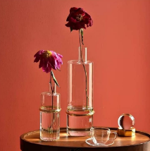 trasparent vases