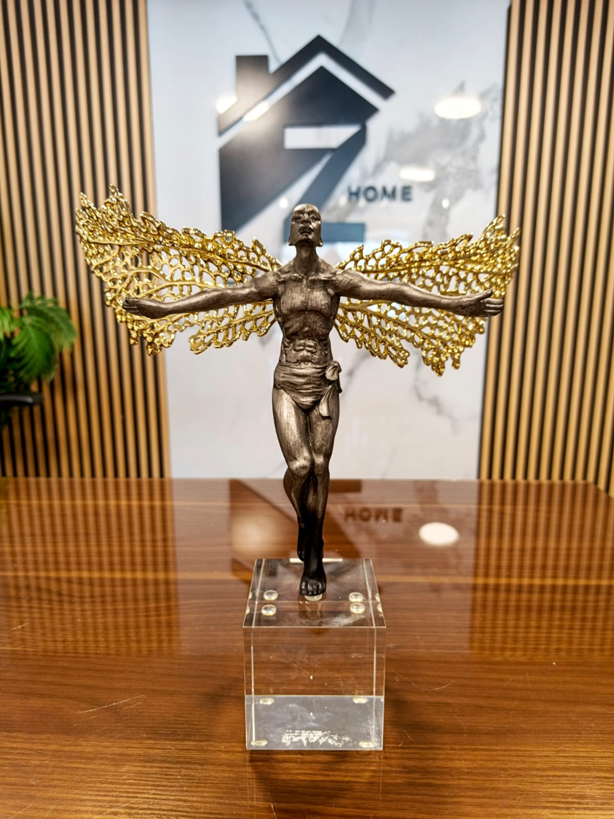 person have gold wings